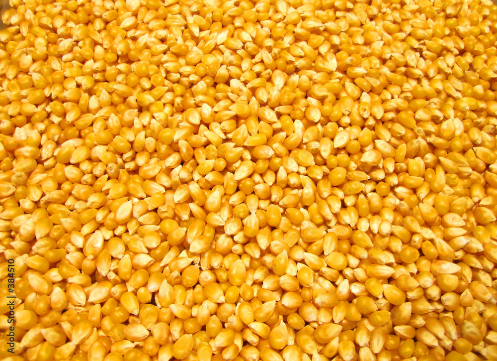 Popcorn kernels / corns