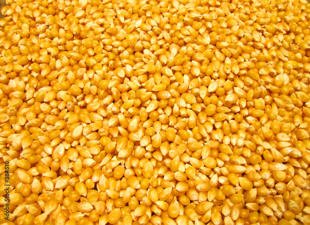 These are the kernels of popcorn. Use them to make your own sweet or savory popcorn!